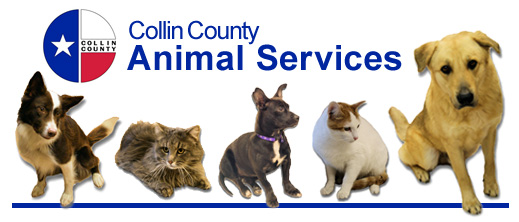 Click Here for Collin County Animal Services Homepage